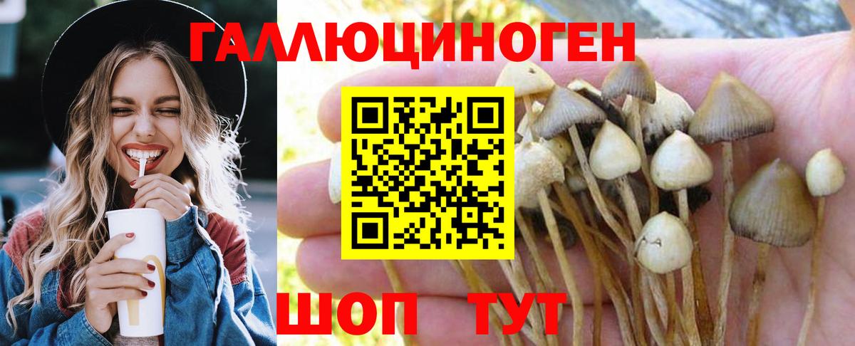 Михайловск  как найти закладки  Галлюциногенные грибы мухоморы  Вход с VPN  Галлюциногенные грибы MAGIC MUSHROOMS 